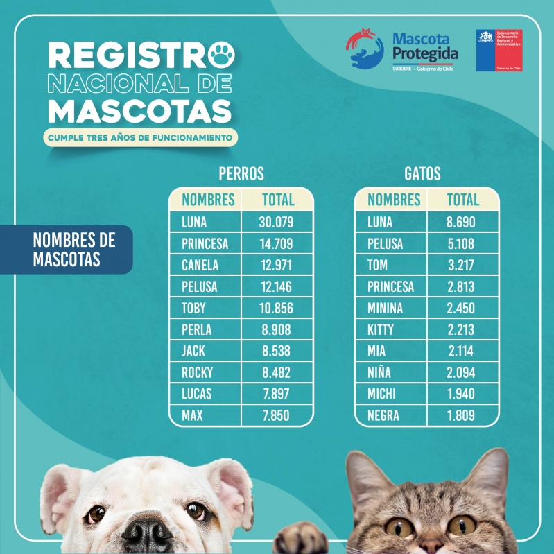 Estos Son Los Nombres Más Populares Para Mascotas En Chile Diarios En Red